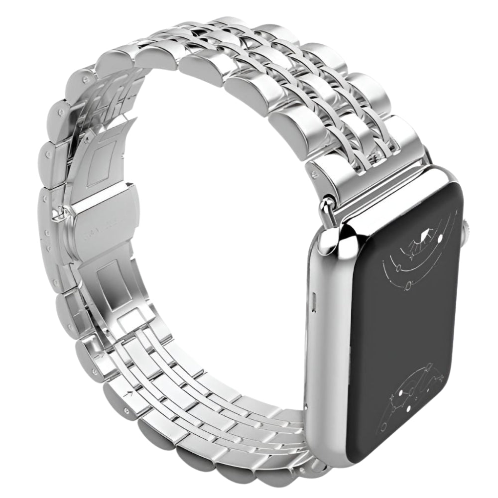 Sierra Stainless Steel Band + Case