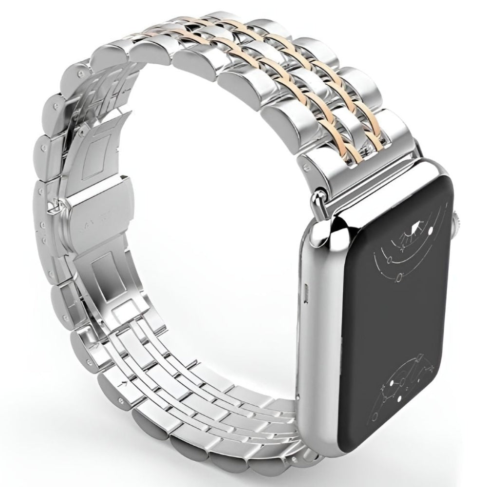 Sierra Stainless Steel Band + Case