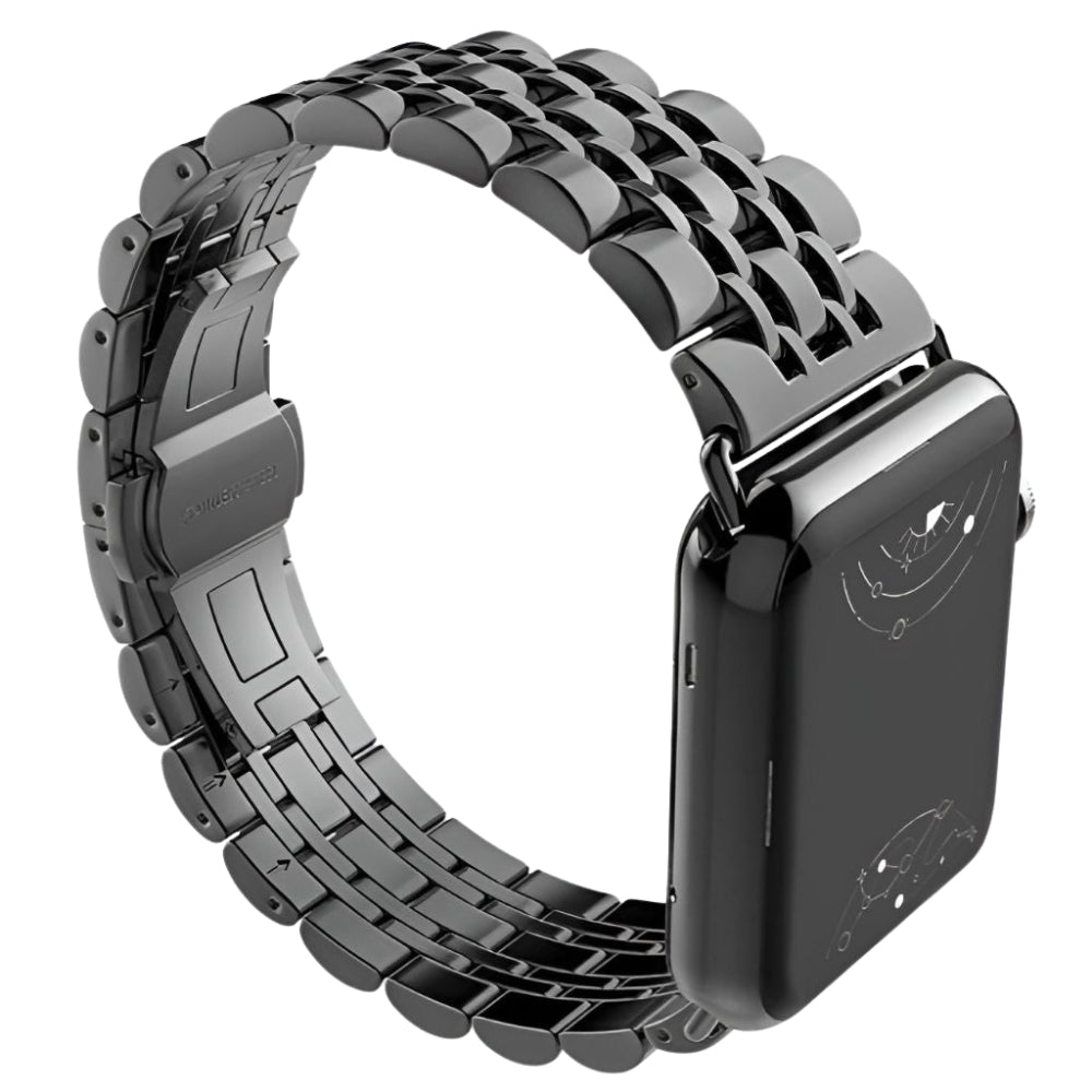 Sierra Stainless Steel Band + Case