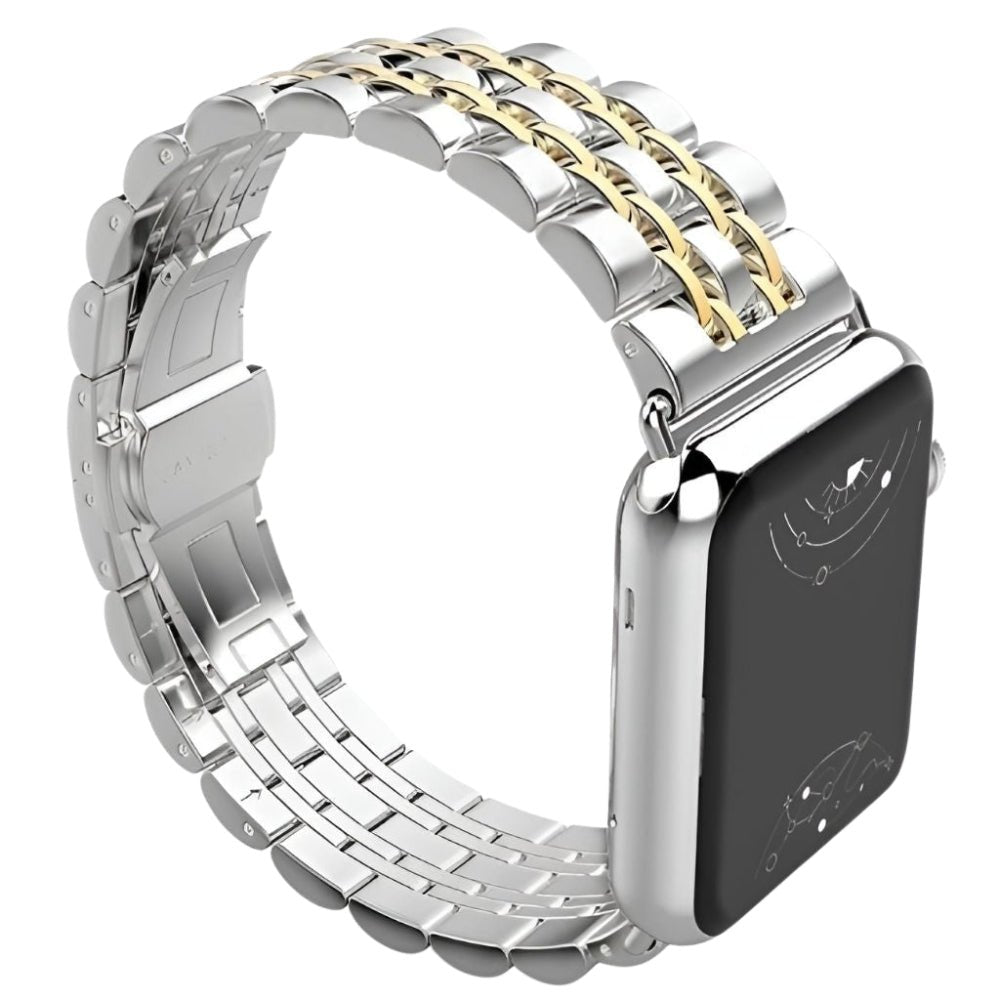 Sierra Stainless Steel Band + Case